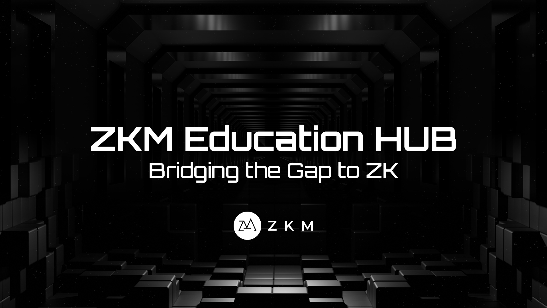 ZK Hub Architecture
