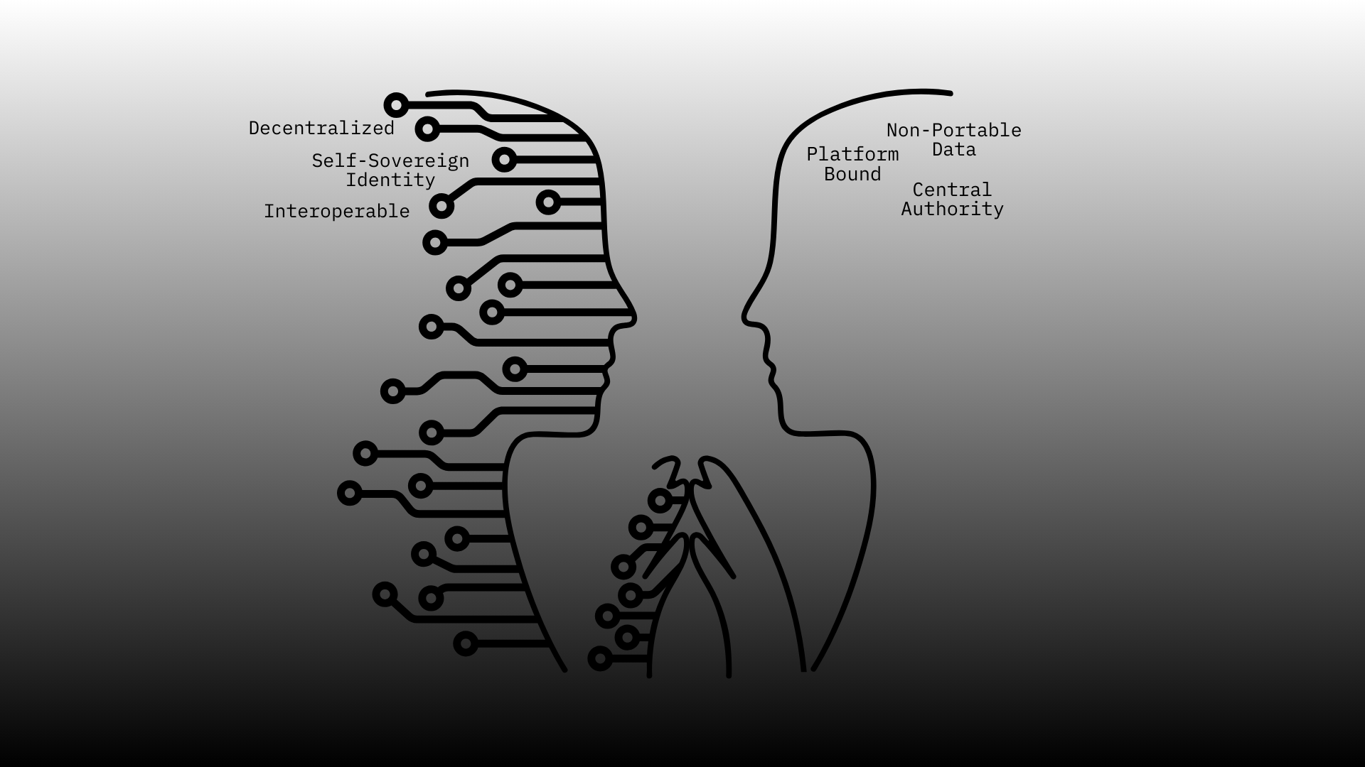 Decentralized ZK identity no central authority illustration