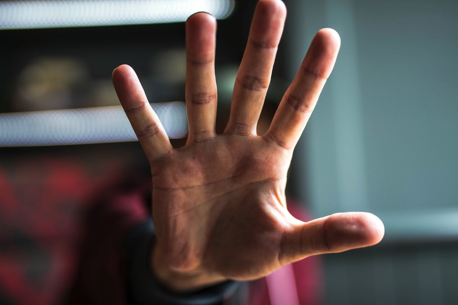 Humanity Protocol palm scan