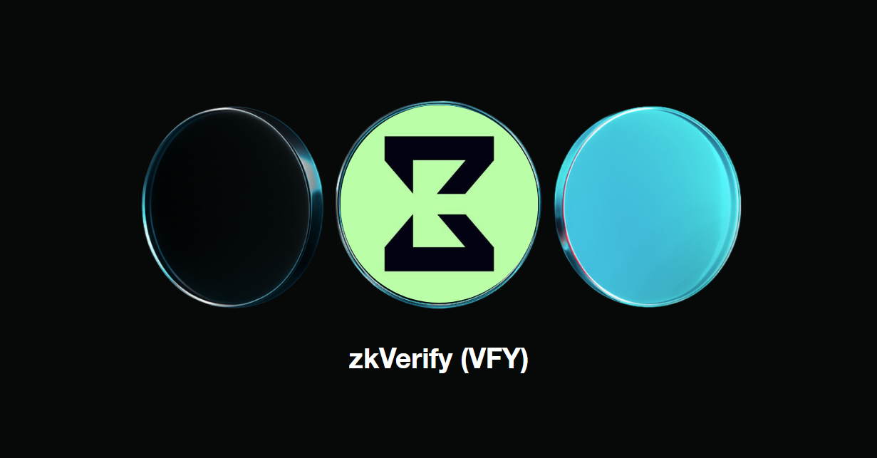 zkVerify ZK proof verification diagram